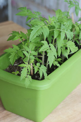 Similar image 22134820