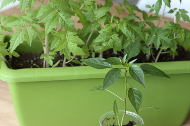 Similar image 22134822