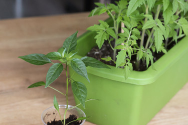 Similar image 22134823