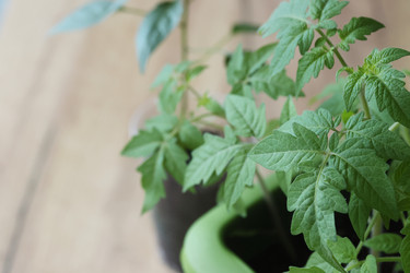 Similar image 22134824