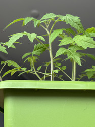 Similar image 22134826