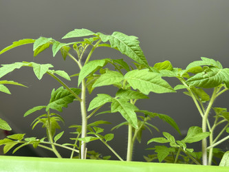 Similar image 22134827