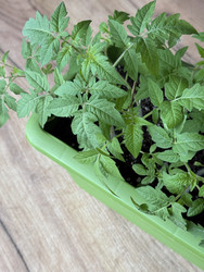 Similar image 22134828