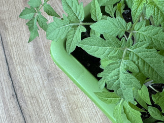 Similar image 22134829