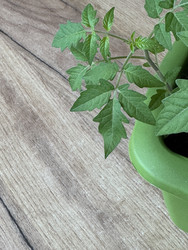 Similar image 22134830