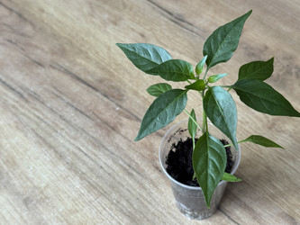 Similar image 22134831