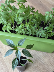 Similar image 22134833