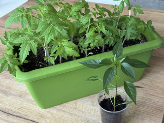 Similar image 22134834