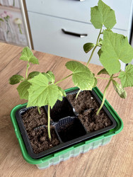 Similar image 22134835