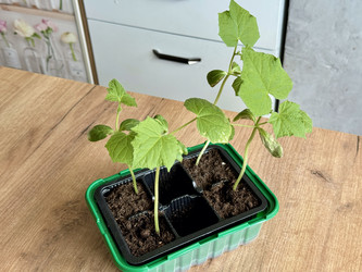 Similar image 22134836