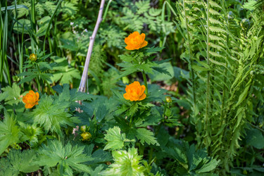 Similar image 22135046