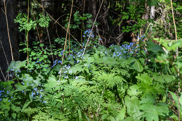 Similar image 22135048