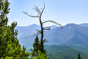 Similar image 22135050