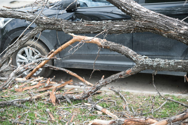 Similar image 22134837