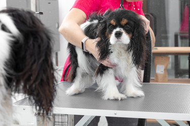 Similar image 22134844