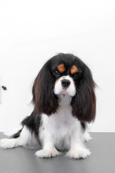 Similar image 22134846