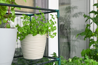 Similar image 22134847