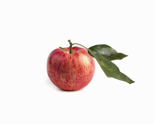 Similar image 22135803