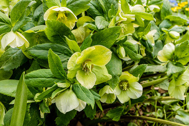 Similar image 22134848