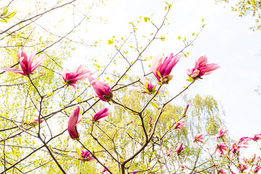 Similar image 22134849