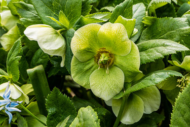 Similar image 22134850