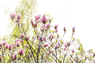 Similar image 22134851