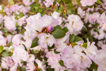 Similar image 22134852