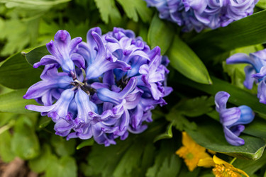 Similar image 22134854