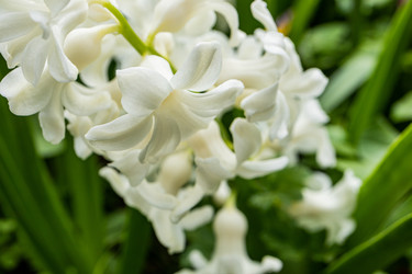 Similar image 22134856