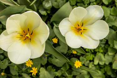 Similar image 22134857