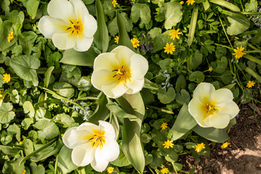 Similar image 22134858