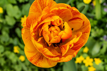 Similar image 22135056