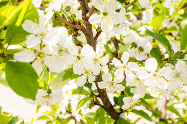 Similar image 22135060