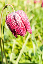 Similar image 22135061