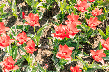 Similar image 22135062