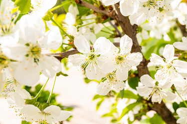 Similar image 22135063