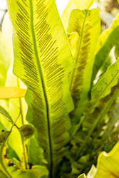 Similar image 22135065