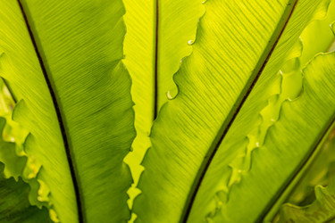 Similar image 22135066