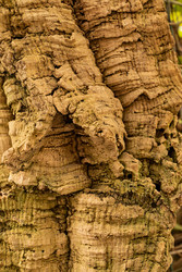 Similar image 22135067