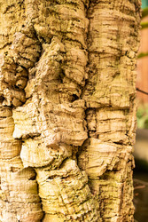 Similar image 22135068