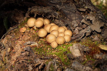 Similar image 22134862