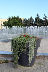 Similar image 22134865