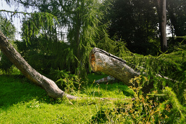 Similar image 22141728