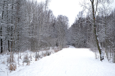 Similar image 22141729