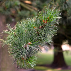 Similar image 22141730