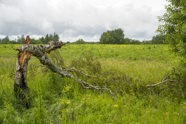 Similar image 22141731