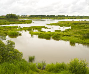 Similar image 22141733