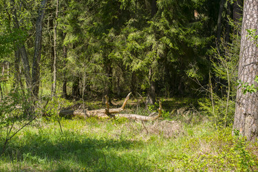 Similar image 22141734