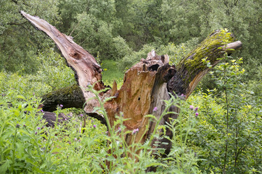 Similar image 22141735