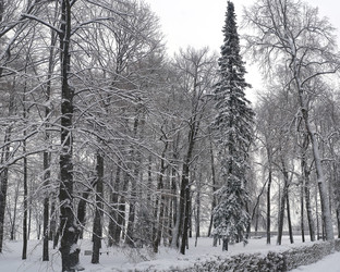 Similar image 22141736